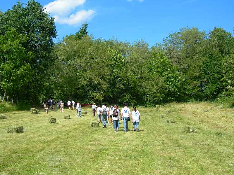 Nei prati della zona