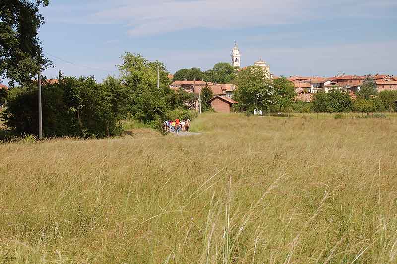 Camminando tra i vigneti