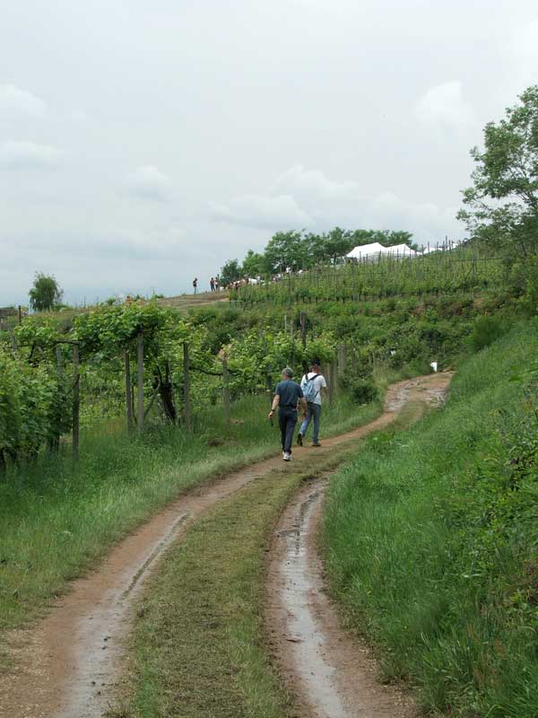 In cammino verso la 3a tappa