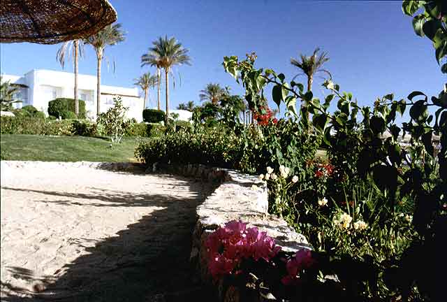 Vista del villaggio dalla spiaggia