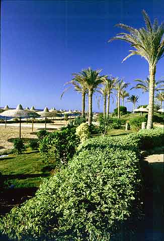 Vista del giardino prima della spiaggia