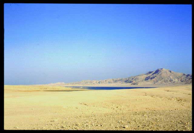 Deserto sull'isola di Tiran