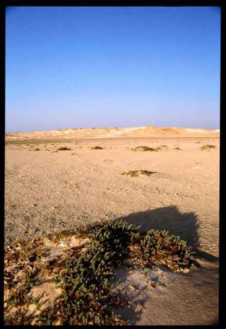 Vista dell'isola di Tiran