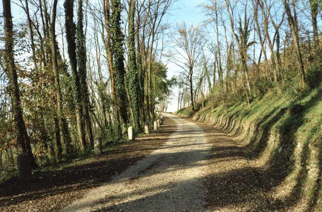 La discesa che porta al Ticino