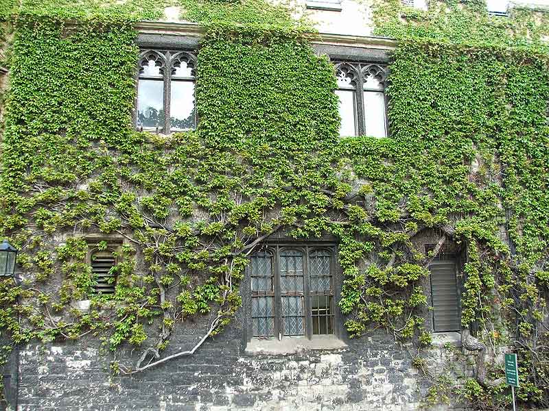 Dean's Yard