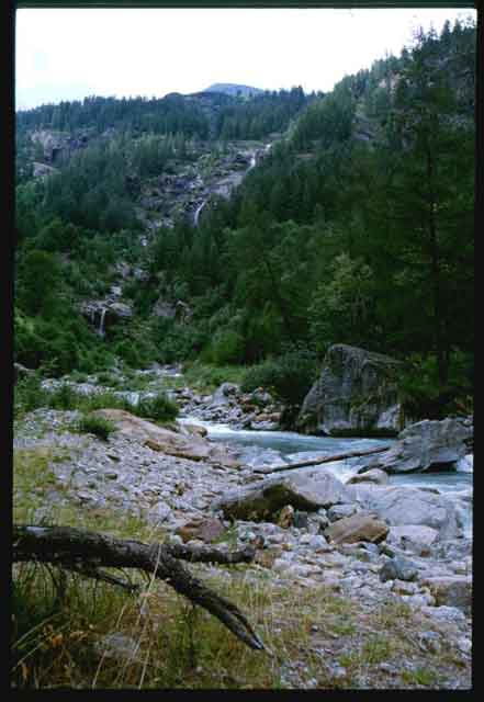 Il fiume Sesia salendo verso il Rif. Pastrore